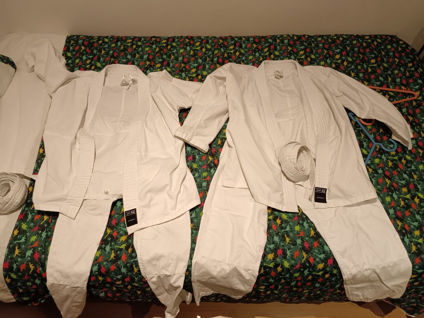 Fatos completos de judo