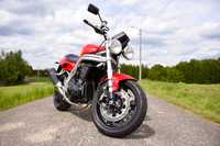 Triumph Speed Triple T509