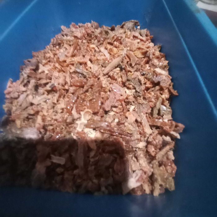 Propolis 500 g -kit pszczeli
