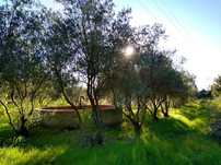 Terreno 2,840 M2 Grandes Oliveiras, Poço, Canalização -Cavadas, Covoes