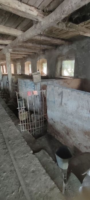Здається, ферма для свиноводства або корівника
