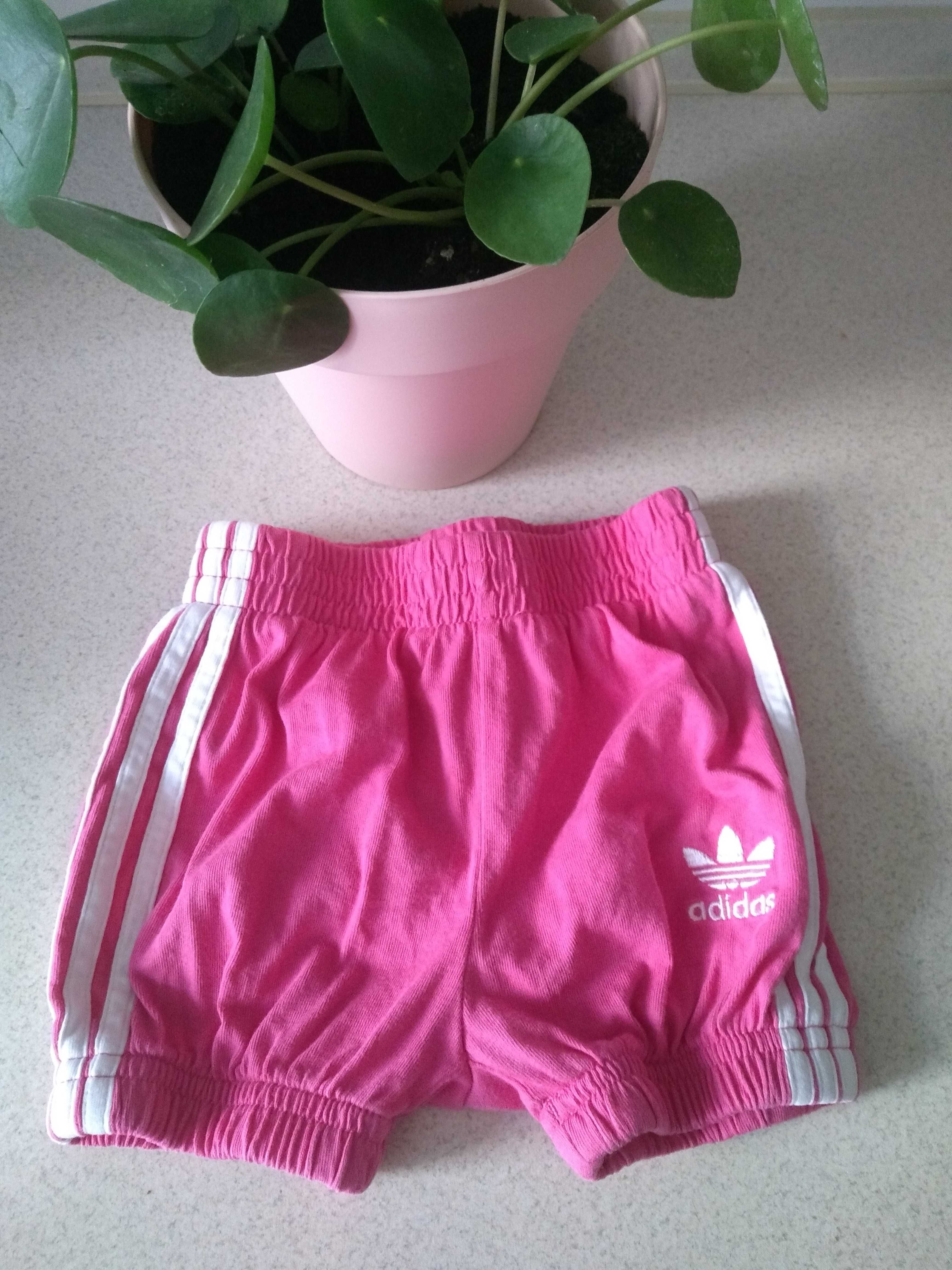 Spodenki adidas rozmiar 68