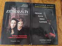 Irwin Zmierzch i filozofia, Meyer Drugie życie Bree Tanner