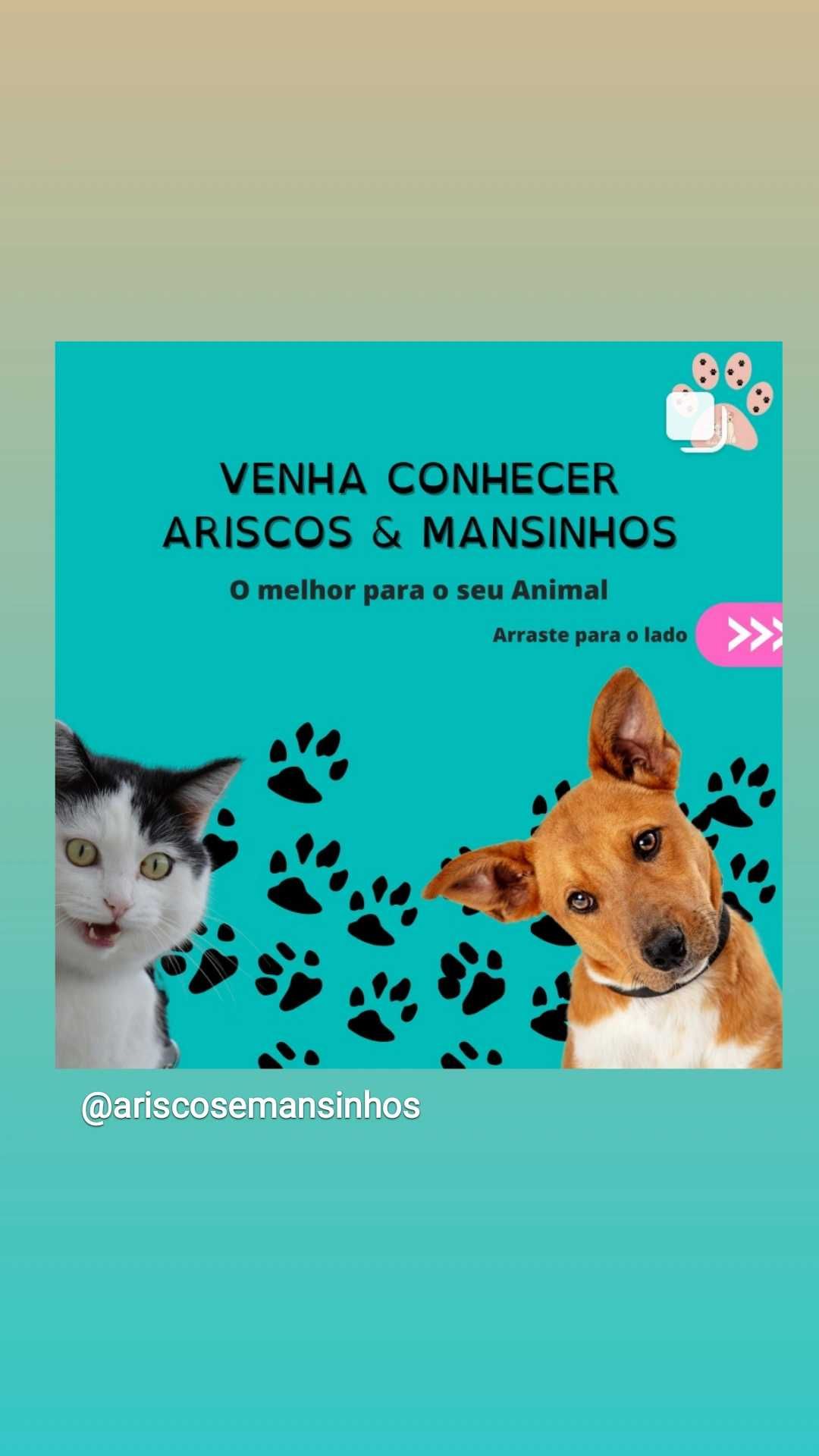 Acessórios para Animais