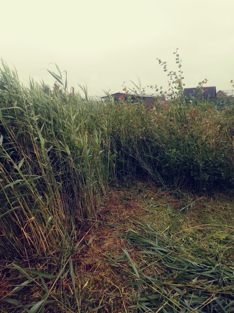 Koszenie wysokich traw i trawników