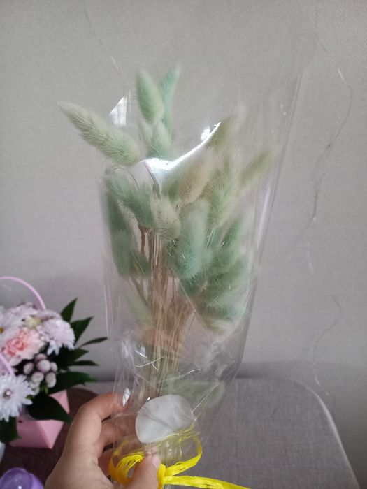 Лагурус натуральний