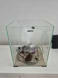Shrimp zestaw 30l kompletny