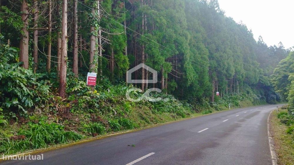 Terreno com 41.624,00 m2 - Santo Amaro - São Roque do Pico