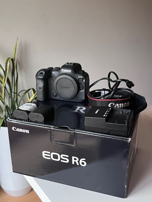 Canon EOS R6 – Excelente estado, pronta a fotografar