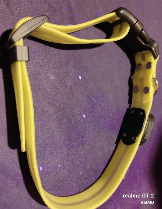 Świecąca obroża dla psa ładowana na USB