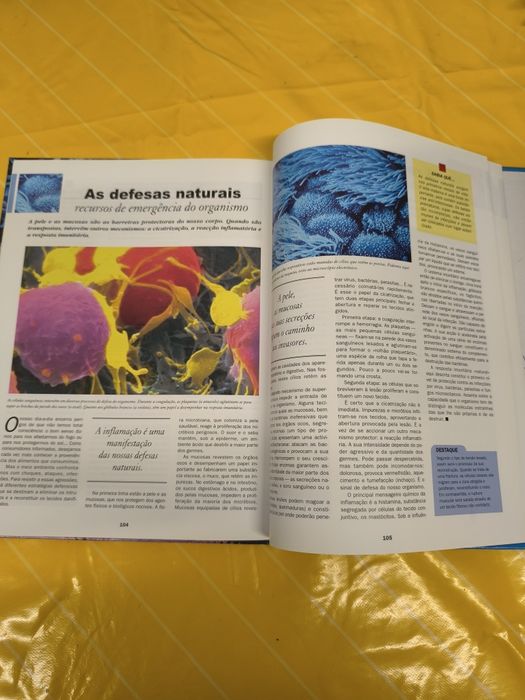 Enciclopédia Larousse – O Corpo Humano (Círculo de Leitores)