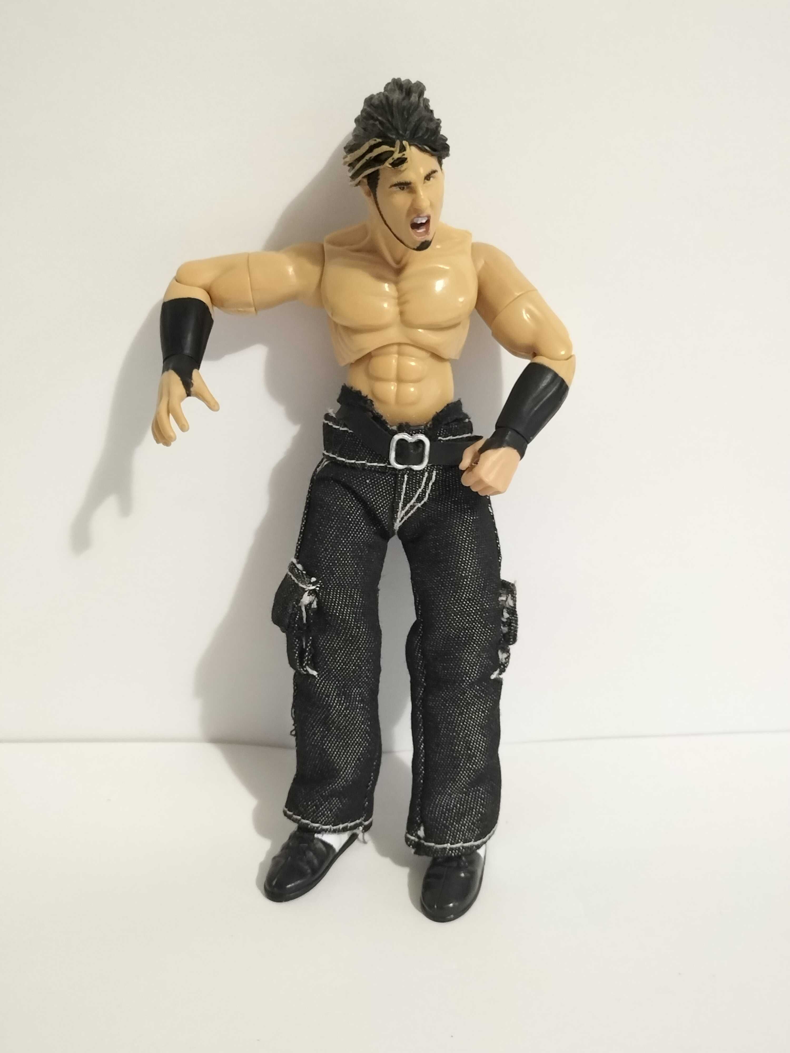 Jakks Pacific  Titan Tron Live- Moves Matt Hardy The Hardy Boyz