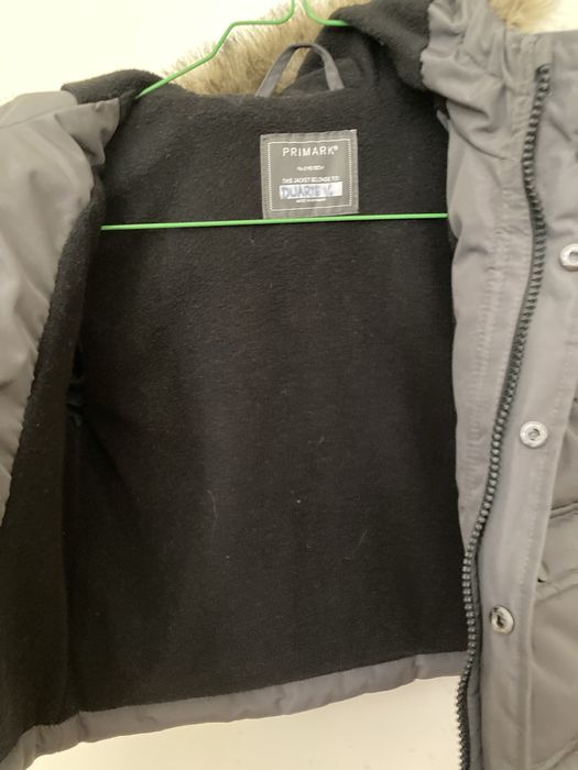 Quispe unix cinzento