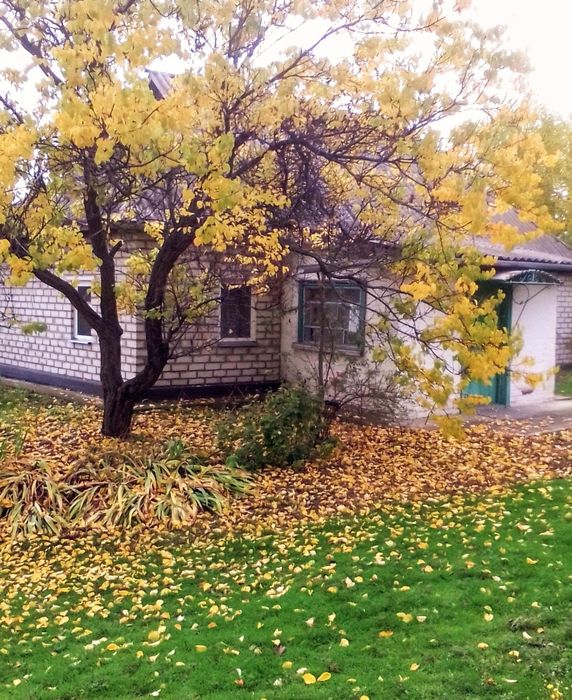 Терміново продається будинок біля соснового ліса, с, Трушкивци