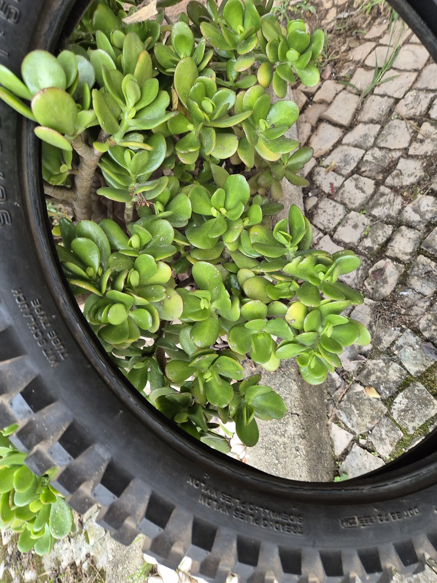 Pneu enduro Metzeler MCE Front (novo)