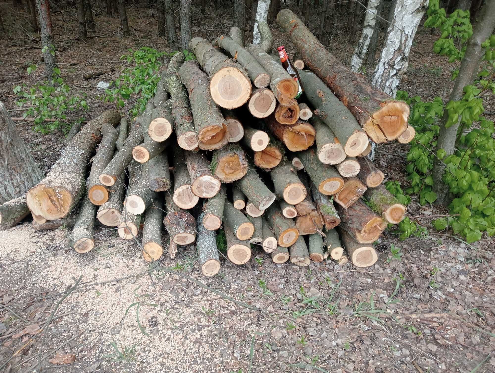 Sprzedam drewno opałowe i kominkowe oraz inne usługi.