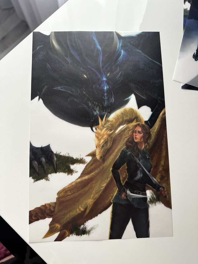 Оверлеї по «Четвертому крилу» FairyLoot