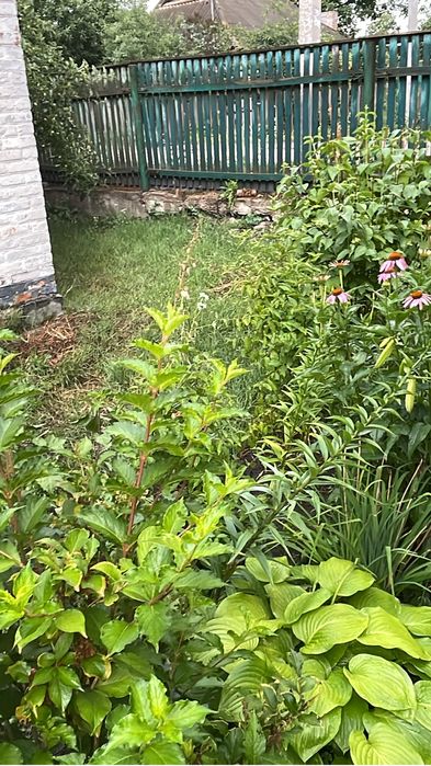 Продам будинок смт. Олександрівка Центр