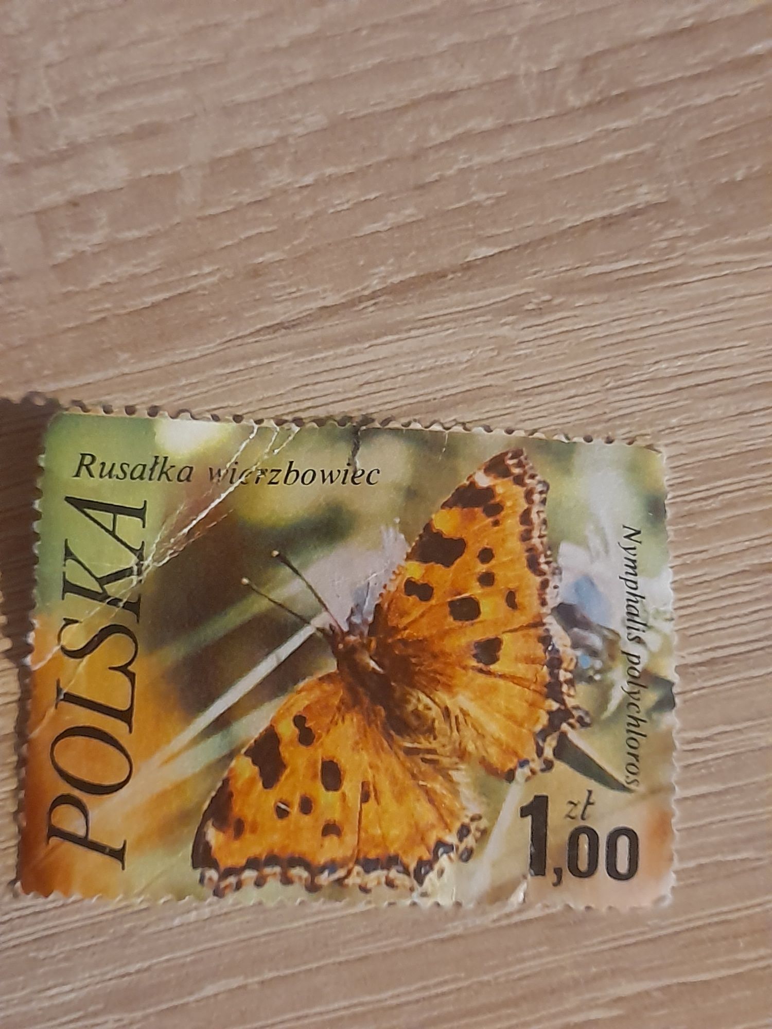 Znaczki pocztowe polska Rusałka wierzbowiec Perłowiec fiołkowiec