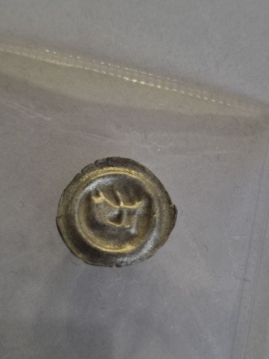 Brakteat głową dzika Świdnica