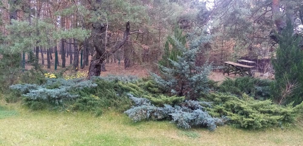 Сдам дом в безопасном тихом месте.поселок Артюховка Змеевского р. 2 эт