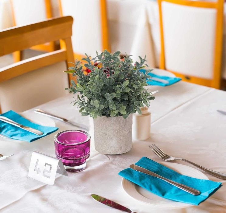 ilauke Zestaw 5 mini sztucznych roślin doniczkowych