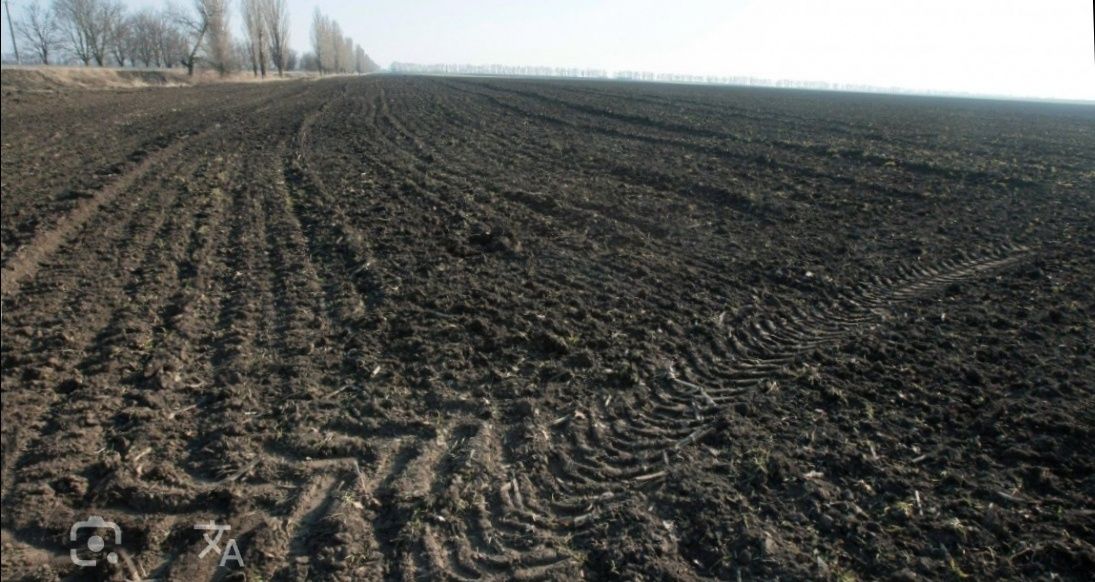 Продаж земельного пая.