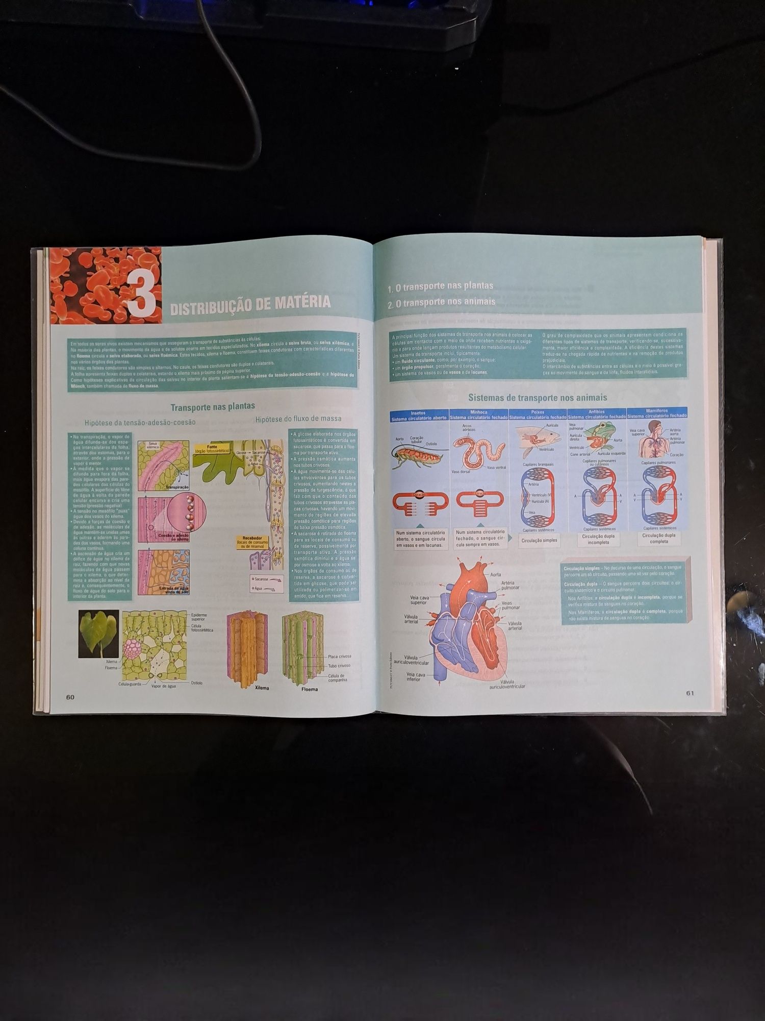 Caderno de Atividades Terra, Universo de Vida de Biologia e Geologia