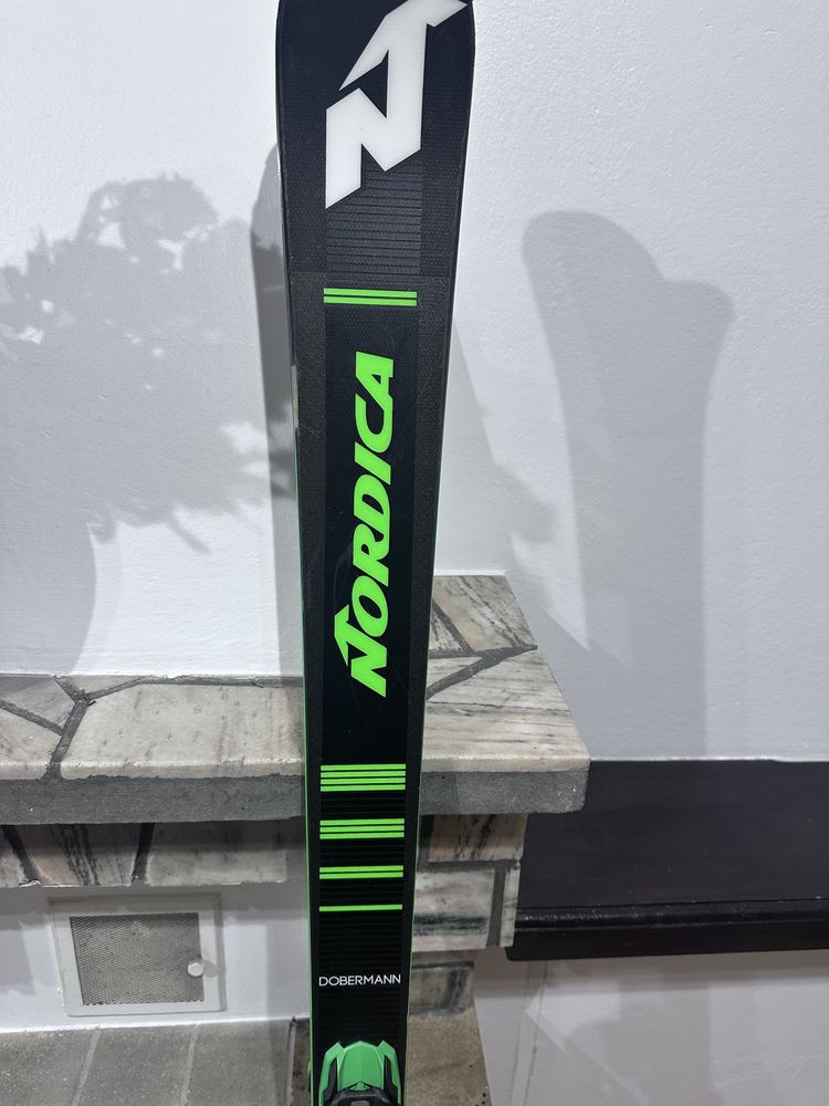 Nordica Doberman Spitfire TI 174