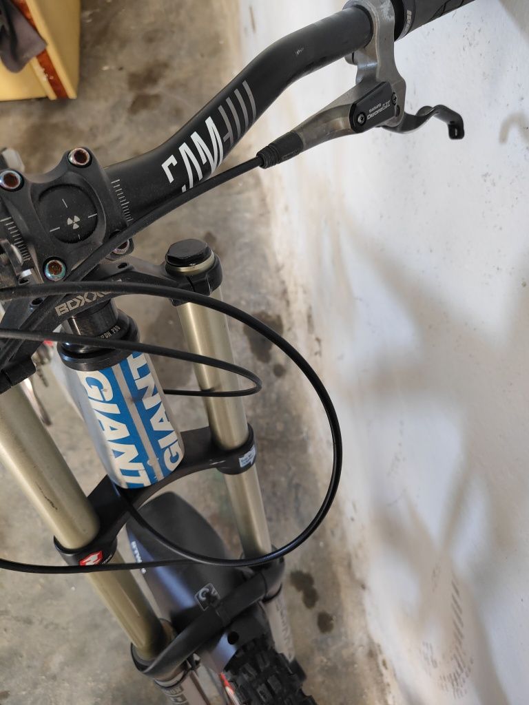Giant glory Downhill