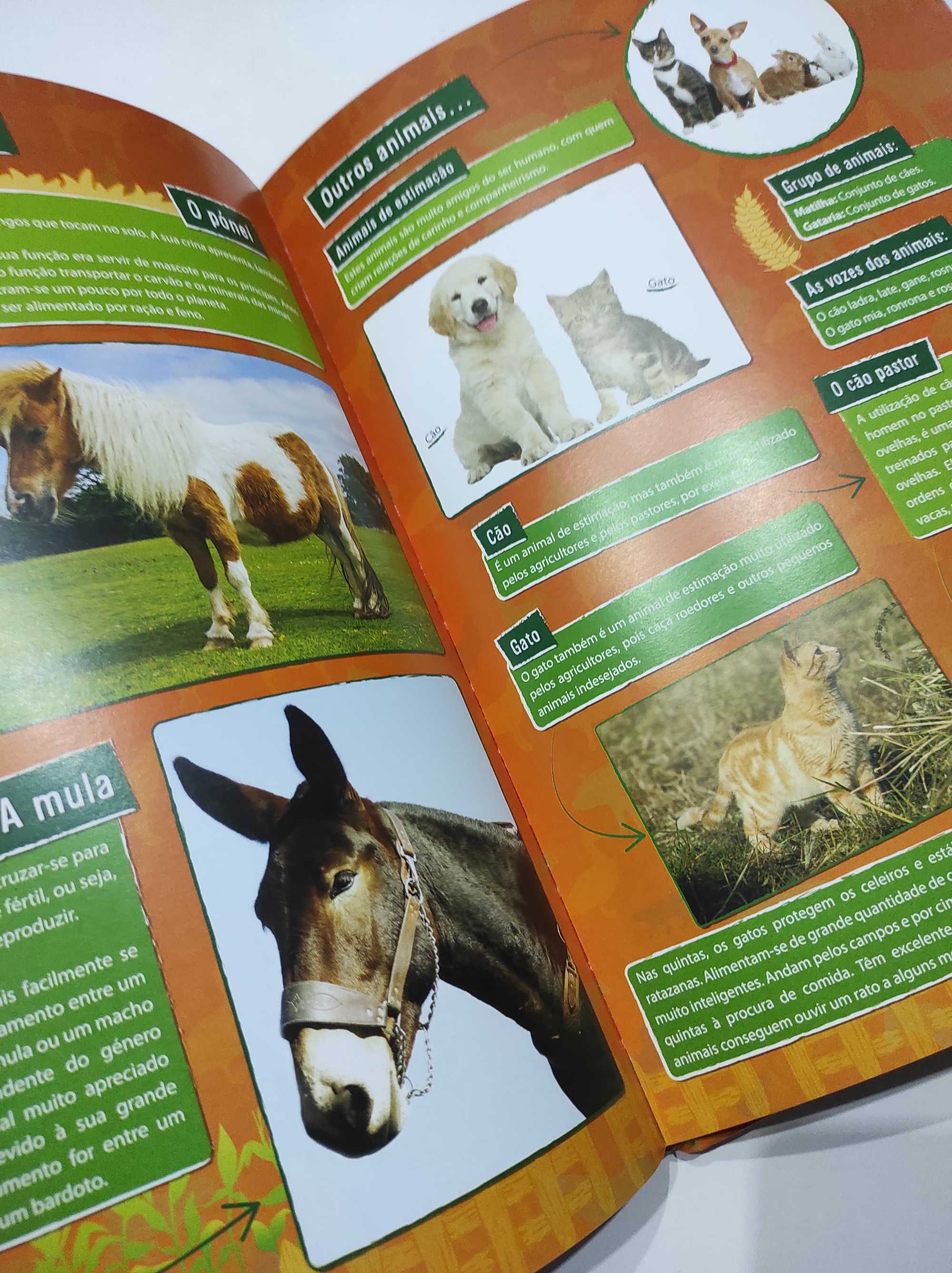 Livro O Divertido Mundo dos Animais da Quinta Science4You