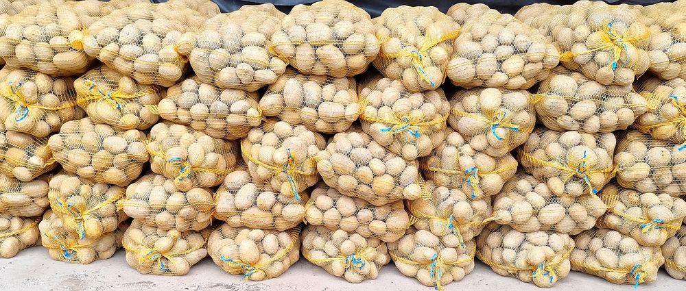 Ziemniaki jadalne. Worek 15 kg - Różne odmiany.