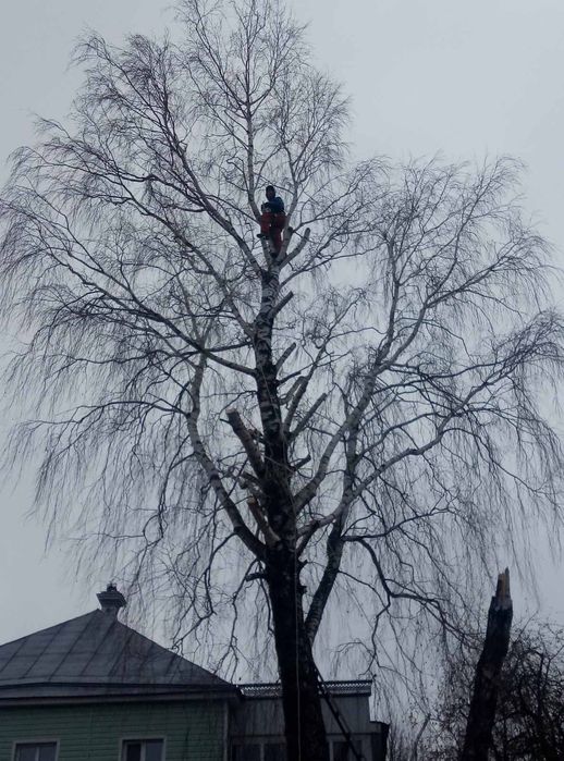 Пиляння дерев будь-якої складності!