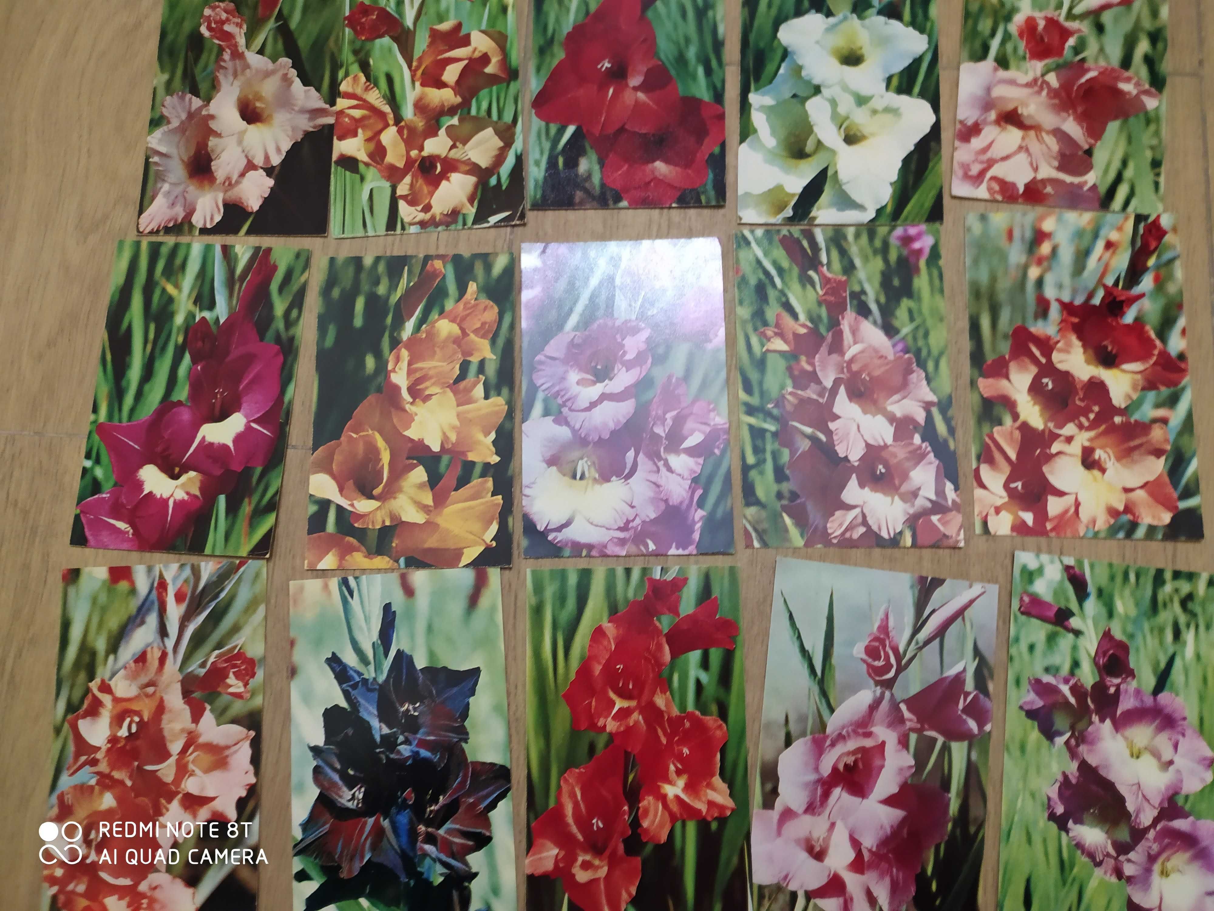 наборы открыток:хризантемы сирень гладиолусы георгины куклы