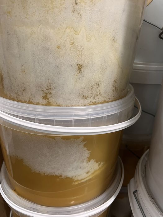 Miód pszczeli,rodziny pszczele,pszczoły,ule,pasieka,produkty pszczele