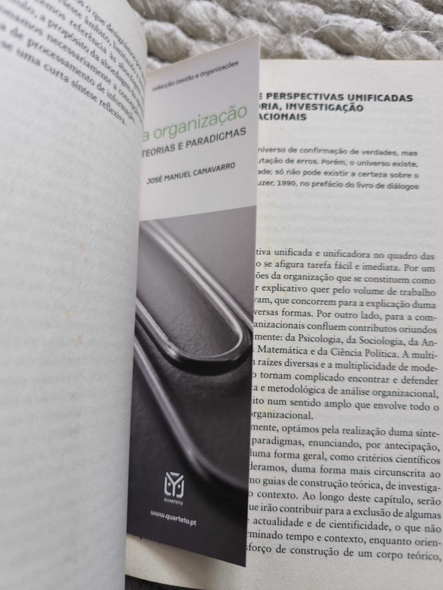 Livro "A Organização,Teorias e Paradigmas" de José Manuel Canavarro