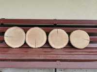 Plastry krążki drewniane dębowe dąb z dębu brzoza brzozowe z brzozy