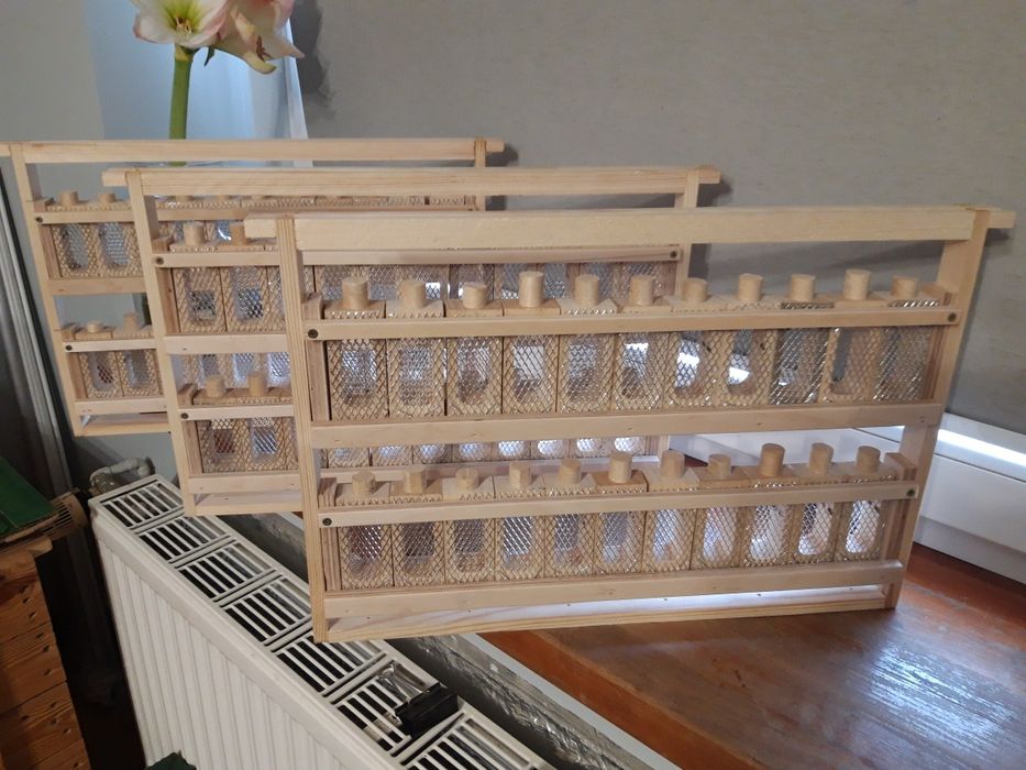 Ramka dadant klateczkowa do hodowli matek pszczelich