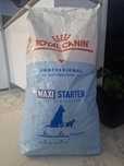 Ração Royal Canin Starter Maxi Mother and Babys 18kg
