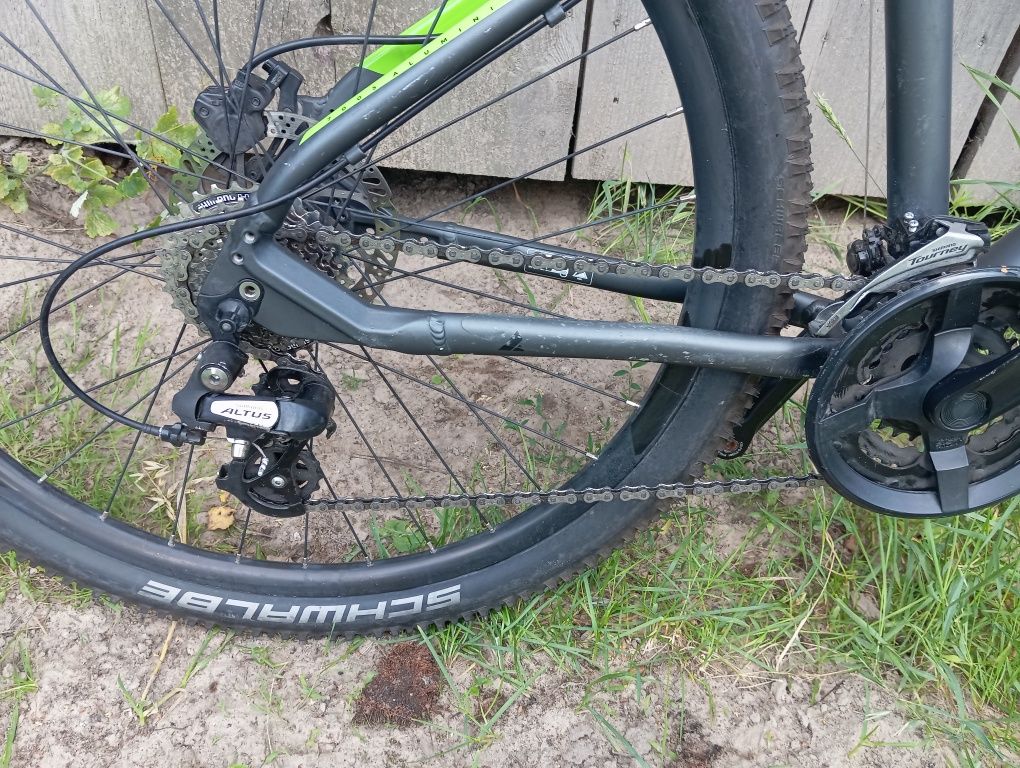 Rower Bulls Sharptail 2 Rama 56