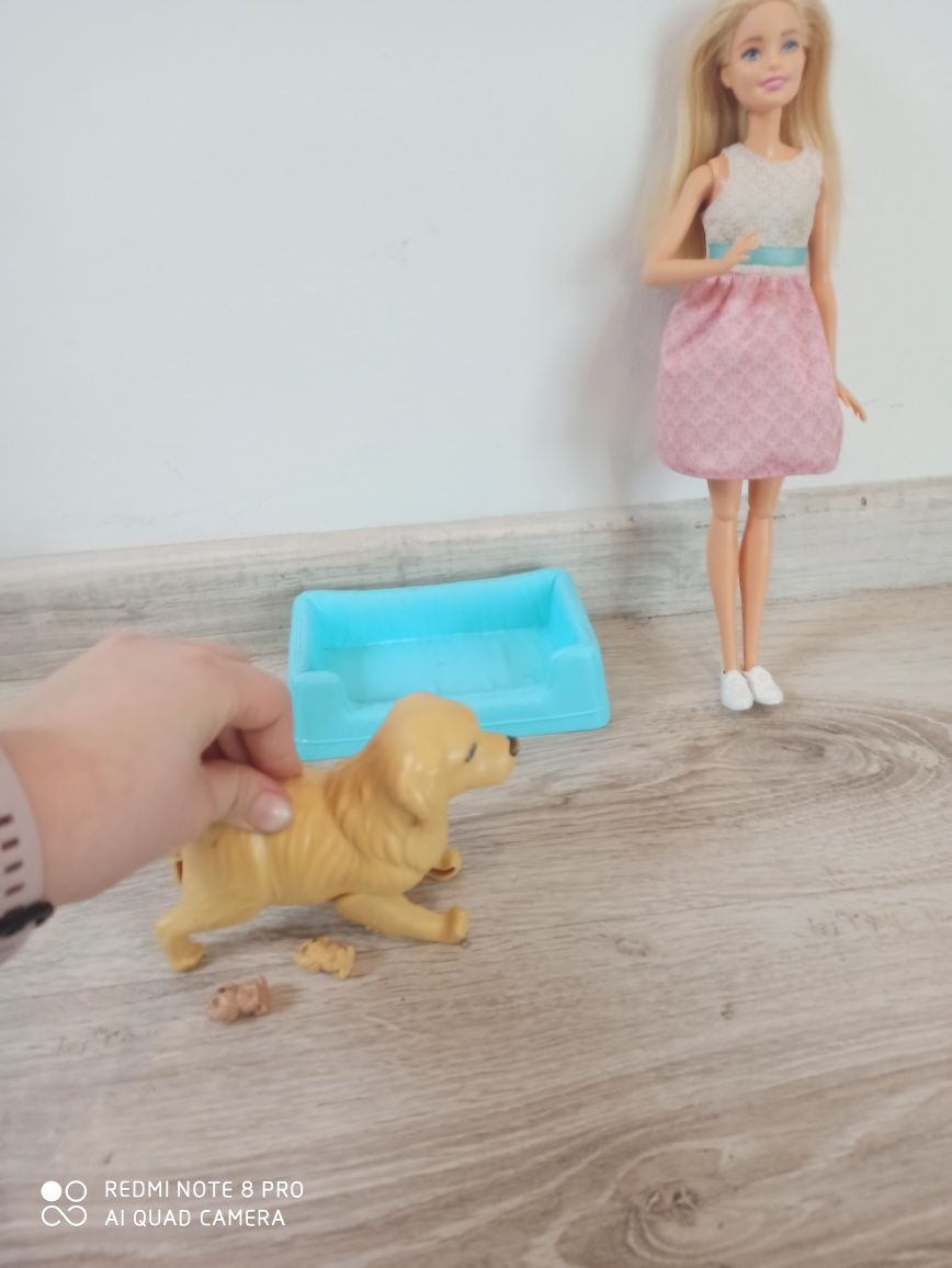 Zestaw Barbie  z pieskami