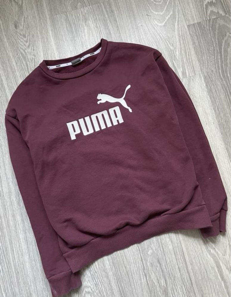 Свитшот puma оригинал