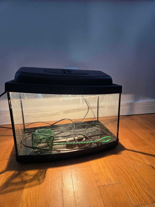 akwarium z wyposażeniem ( bez filtra) oddam