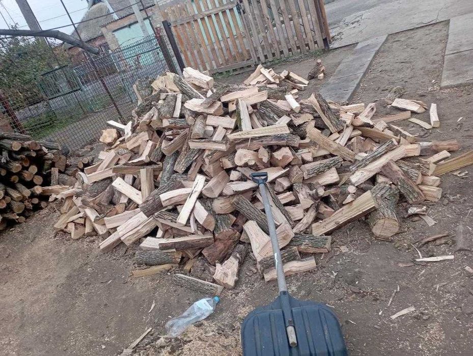 Продам дрова всех видов