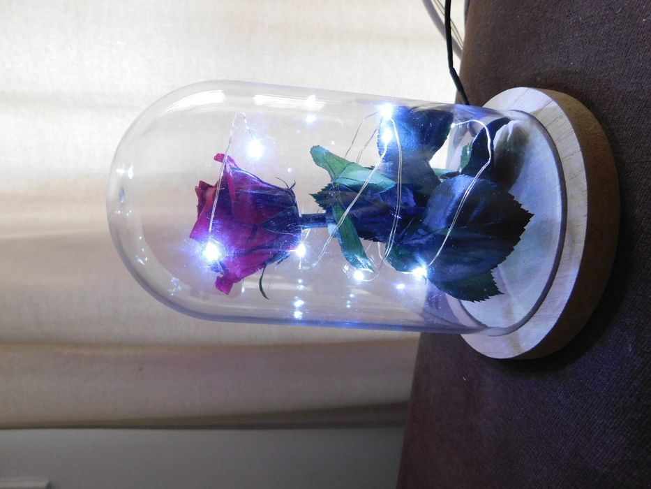 Rosa preservada com cúpula