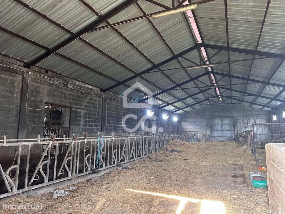 Armazém com terreno