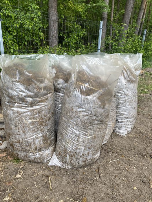Sprzedam obornik koński workowany naturalny nawóz