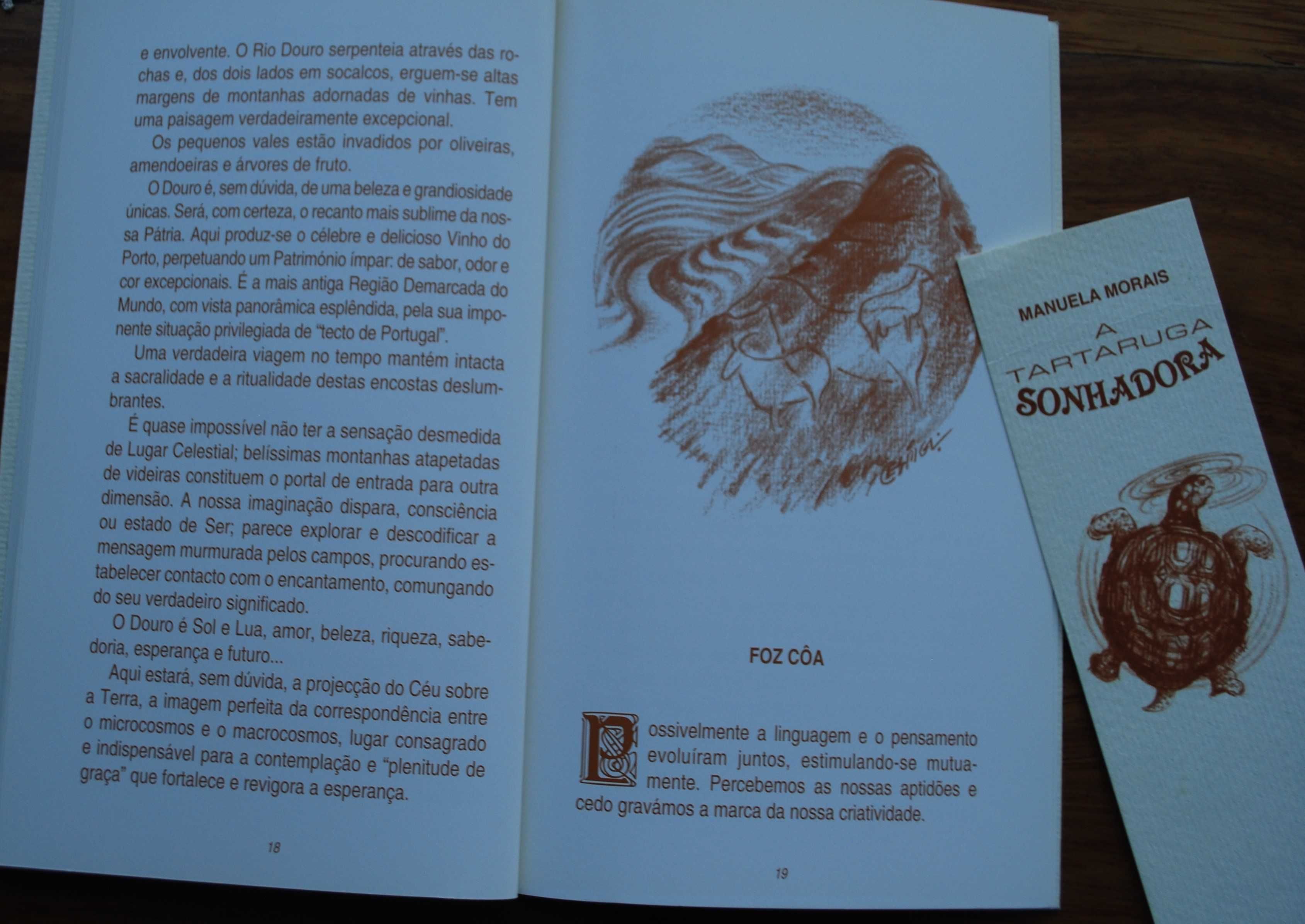 A Tartaruga Sonhadora de Manuela Morais - 1º Edição 2010