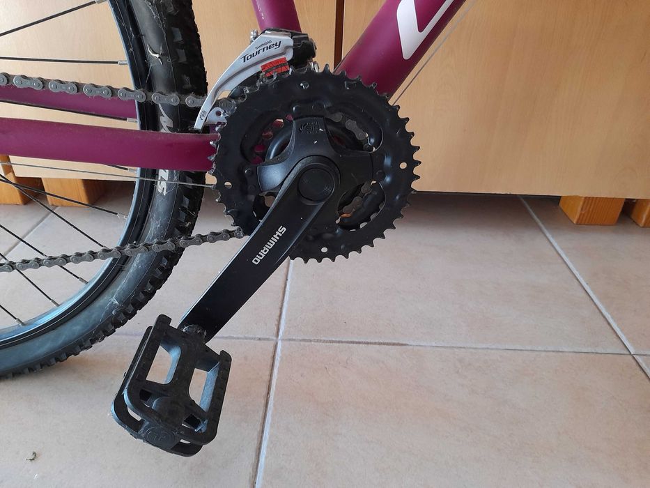 Bicicleta nova coluer