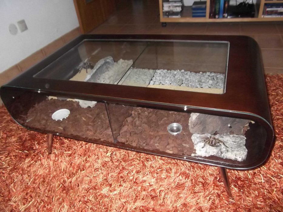 Terrário | Mesa de centro de sala (peça unica)